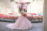 Ximena 15 {proofs}