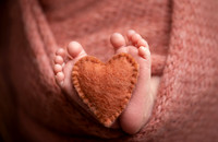 Newborn