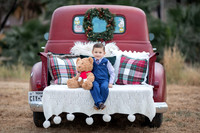 Meli - Holiday Proofs 2020