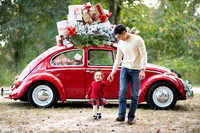 Veronica Mtz {Holiday proofs}